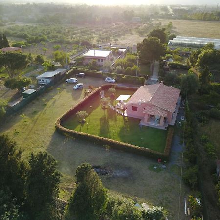 Il Melograno Di Nora Bed & Breakfast Pula Exterior photo