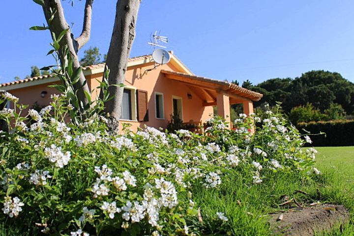 Il Melograno Di Nora Bed & Breakfast Pula Exterior photo